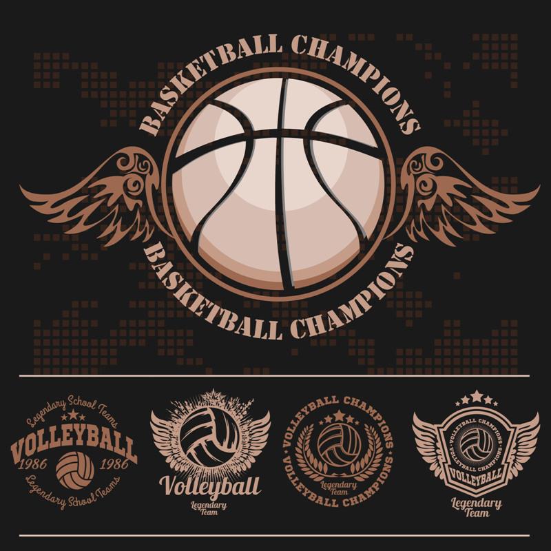 矢量印花图案篮球足球排球棒球logo标志团队运动服装t恤设计联盟猫3